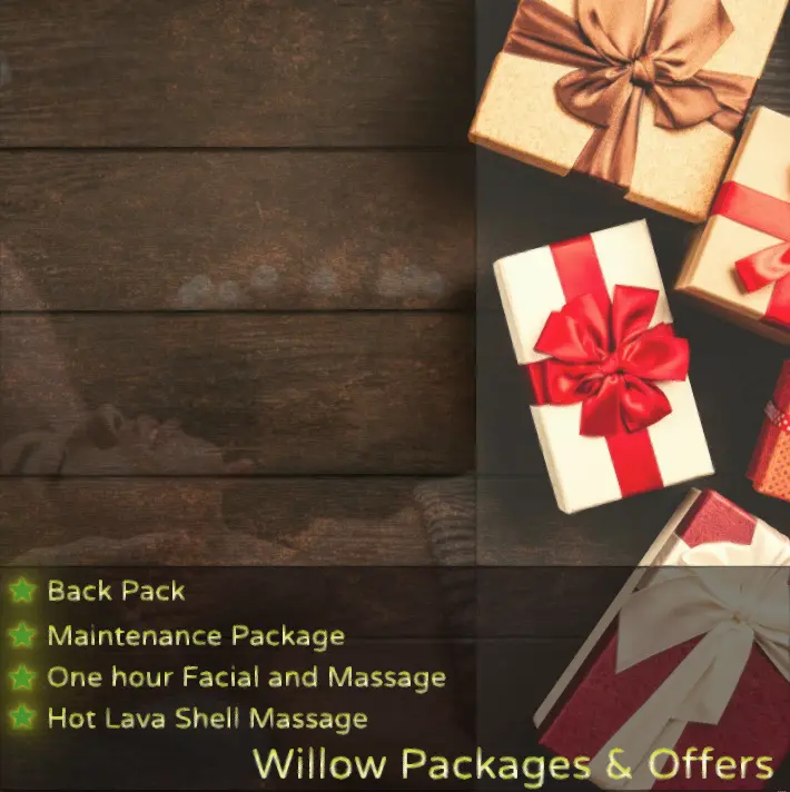 Willow Massage Centre